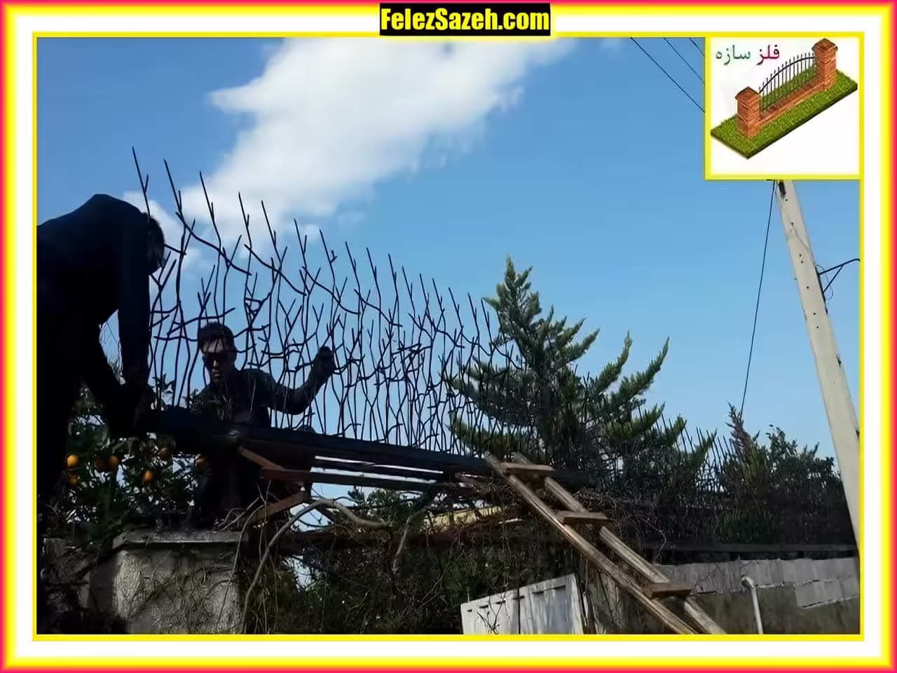 حفاظ شاخ گوزنی روی دیوار
