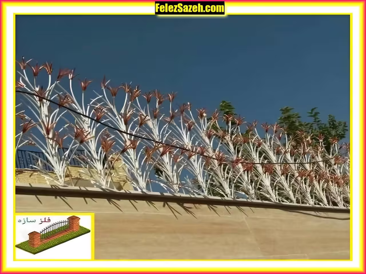 تراکم حفاظ لیلیوم