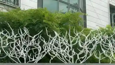 حفاظ بوته ای