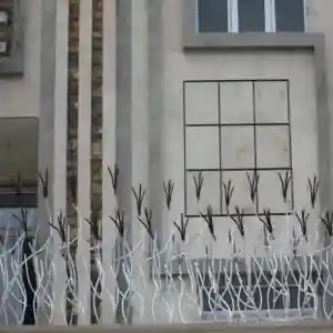 حفاظ غنچه ای