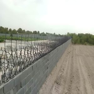 حفاظ شاخ گوزنی تراکم ۳۱