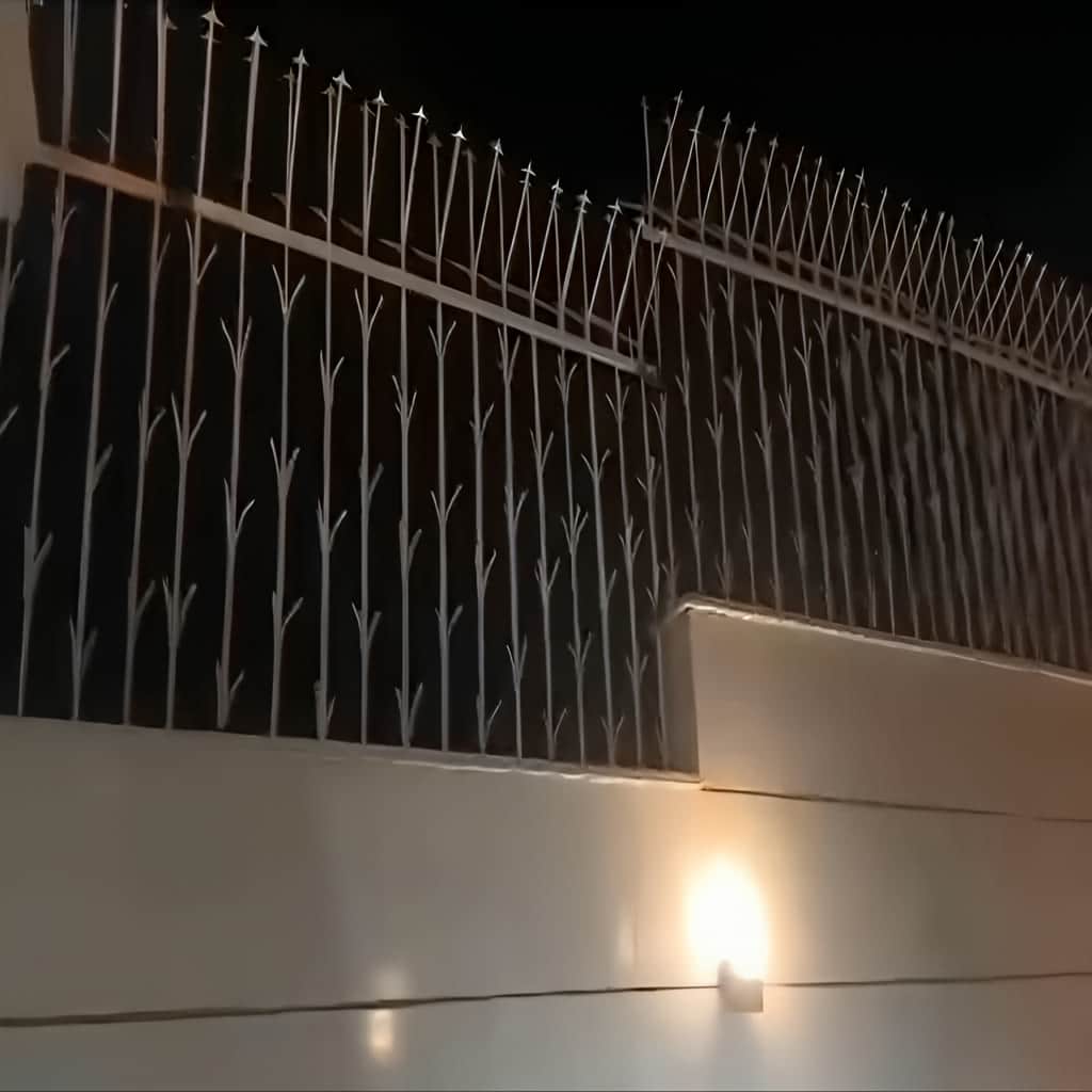 حفاظ شمشادی – 2 قیمت حفاظ شمشادی