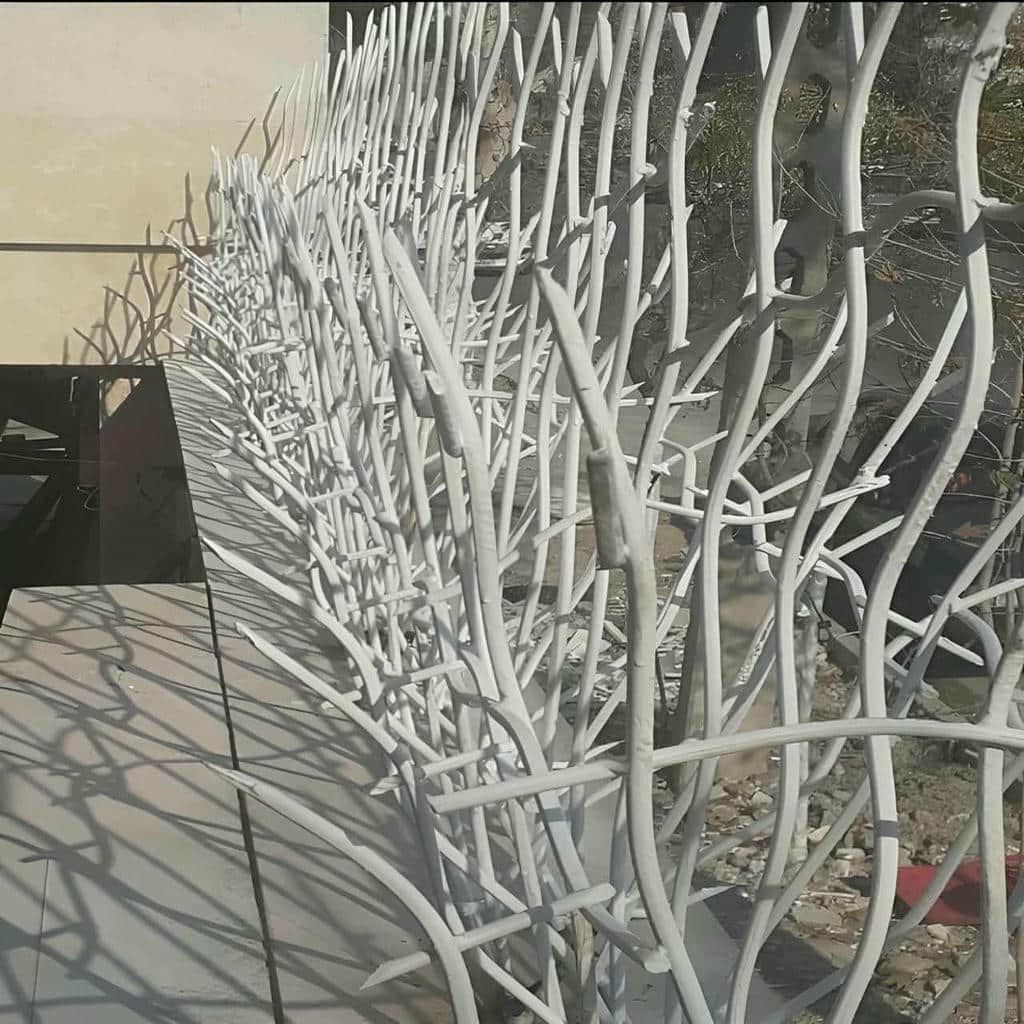 حفاظ شاخ گوزنی در ایلام