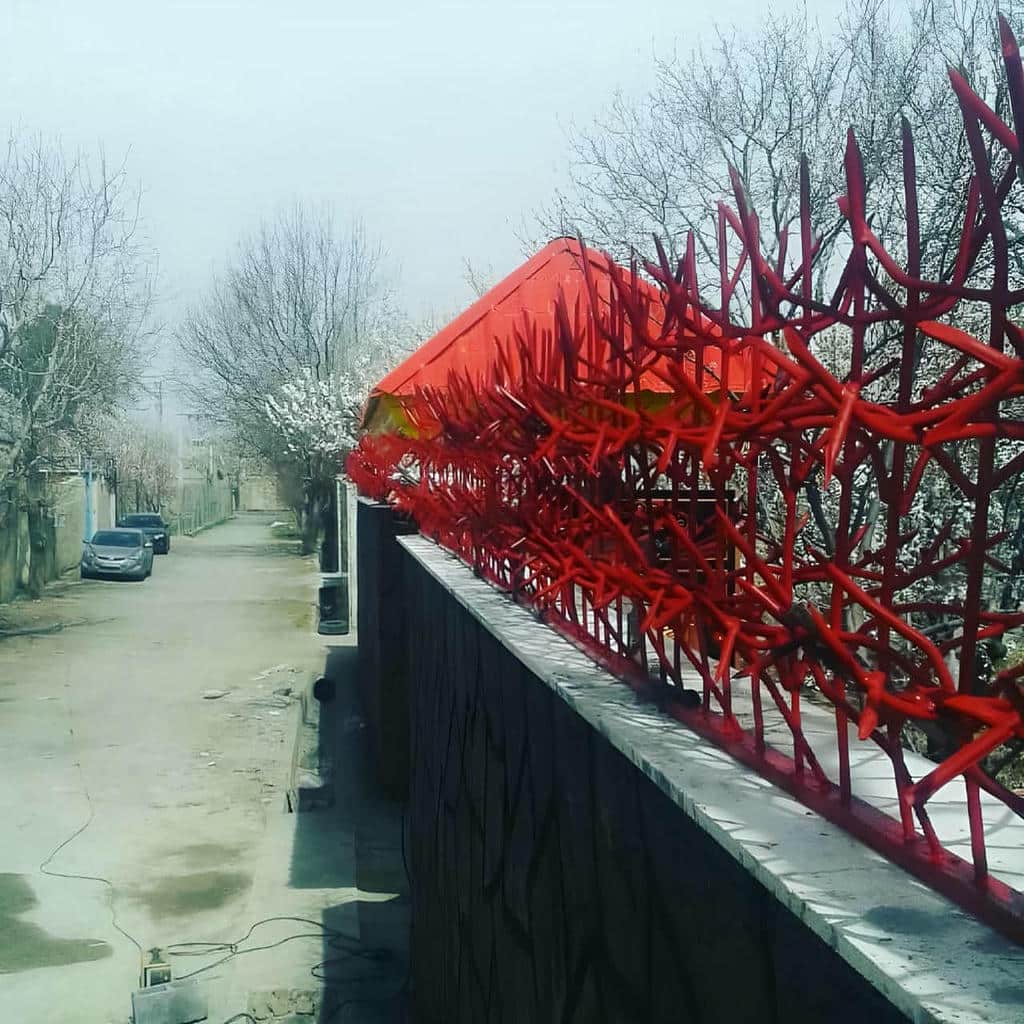 حفاظ شاخ گوزنی در یاسوج - تصویر 4