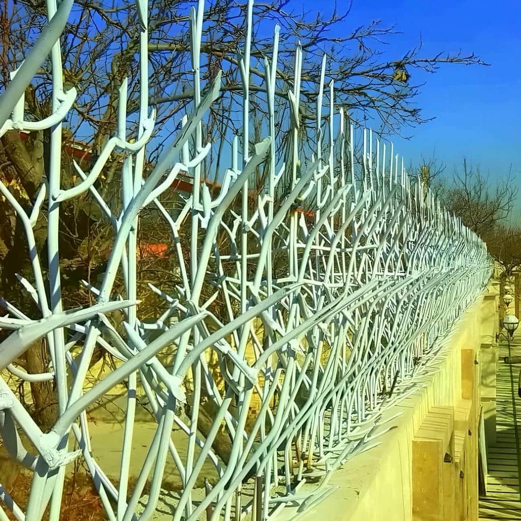 حفاظ شاخ گوزنی در ایلام