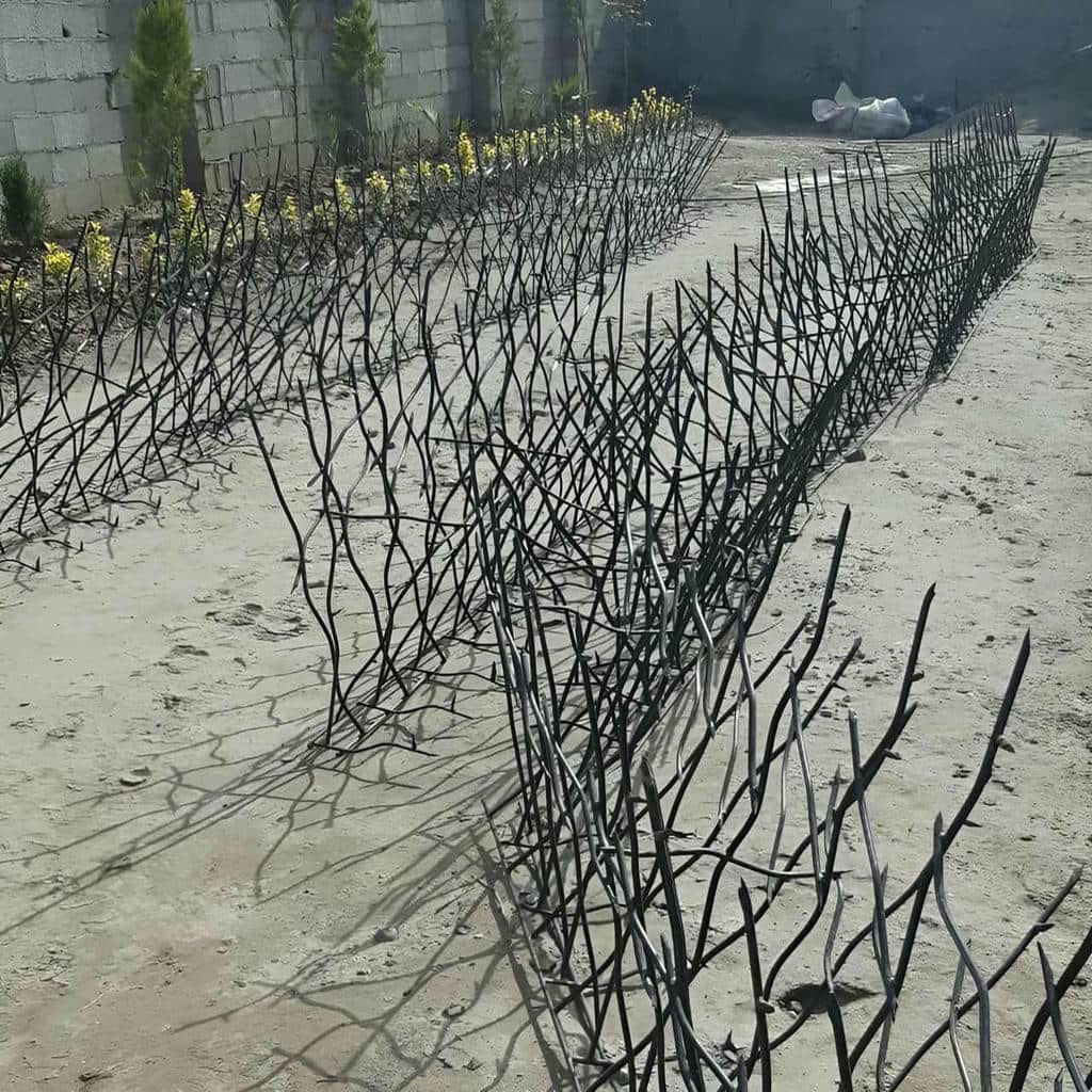 حفاظ شاخ گوزنی در کاشان - تصویر 4