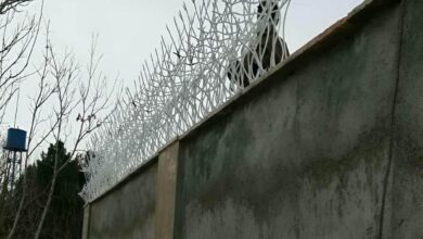 حفاظ شاخ گوزنی در آمل