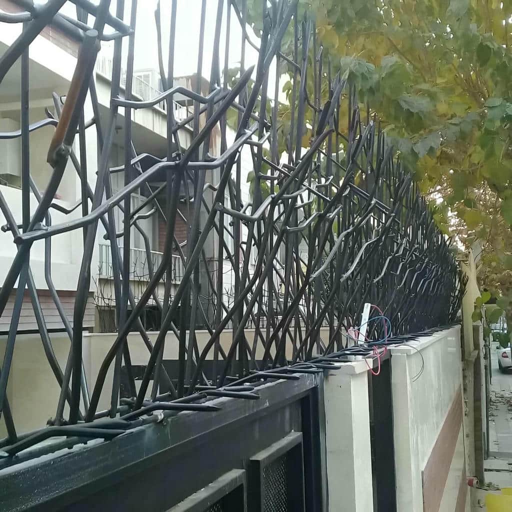 حفاظ شاخ گوزنی در قم - تصویر 4