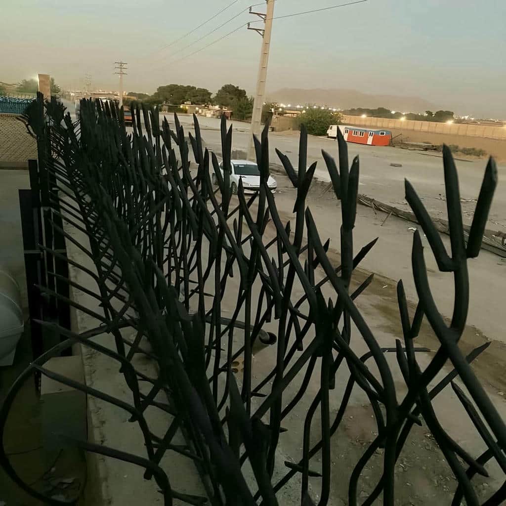 حفاظ شاخ گوزنی در تبریز
