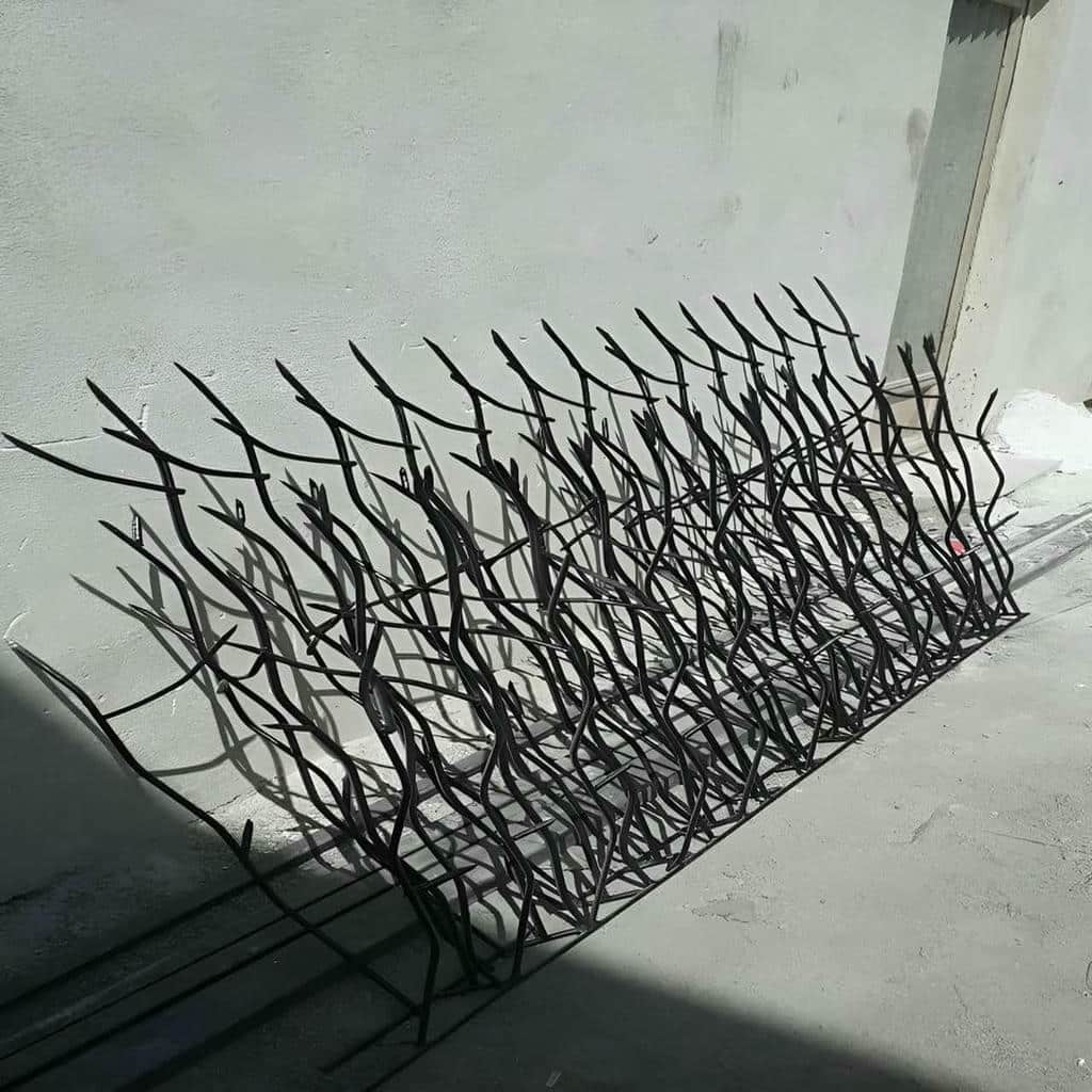 حفاظ شاخ گوزنی در طالقان - تصویر 4