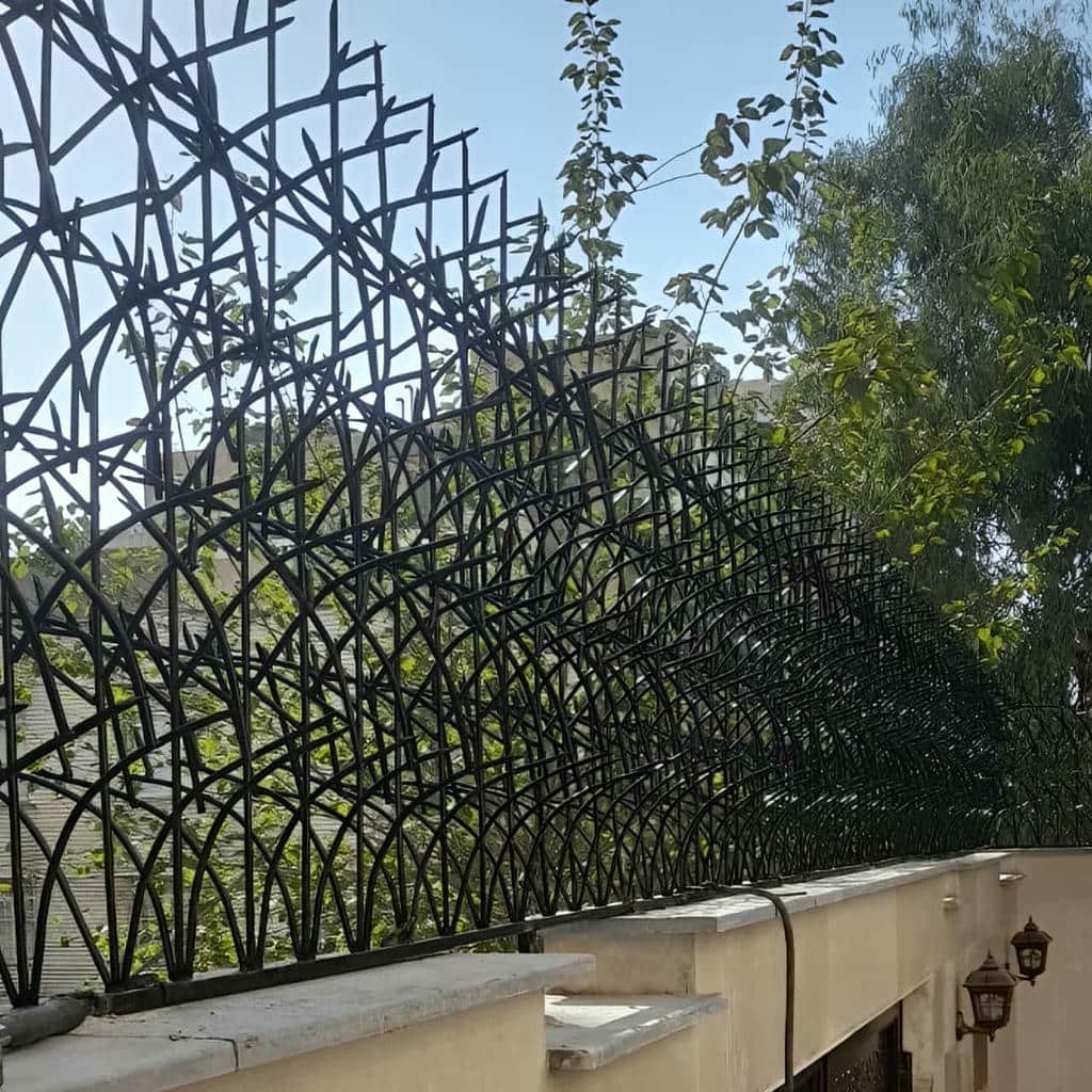 حفاظ شاخ گوزنی در اشتهارد - تصویر 2