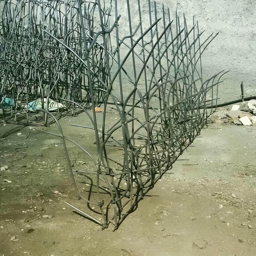 حفاظ شاخ گوزنی در بجنورد