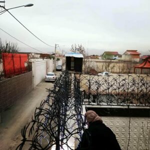 حفاظ شاخ گوزنی در ایرانشهر
