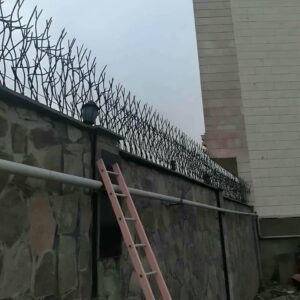 حفاظ شاخ گوزنی در اندیشه