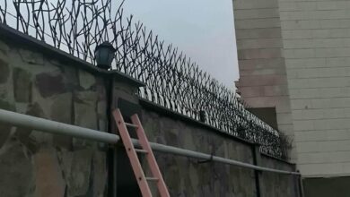 حفاظ شاخ گوزنی در اندیشه