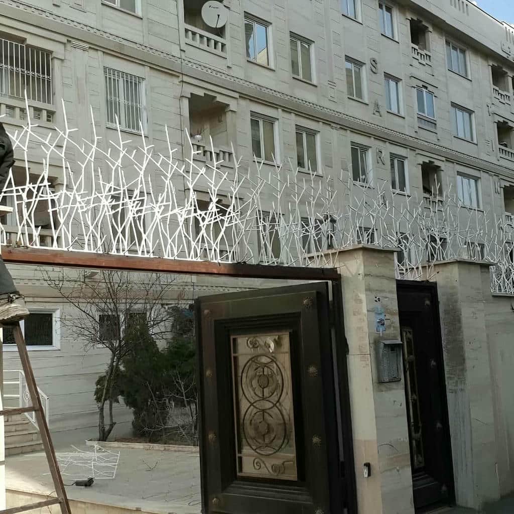 حفاظ شاخ گوزنی در رشت