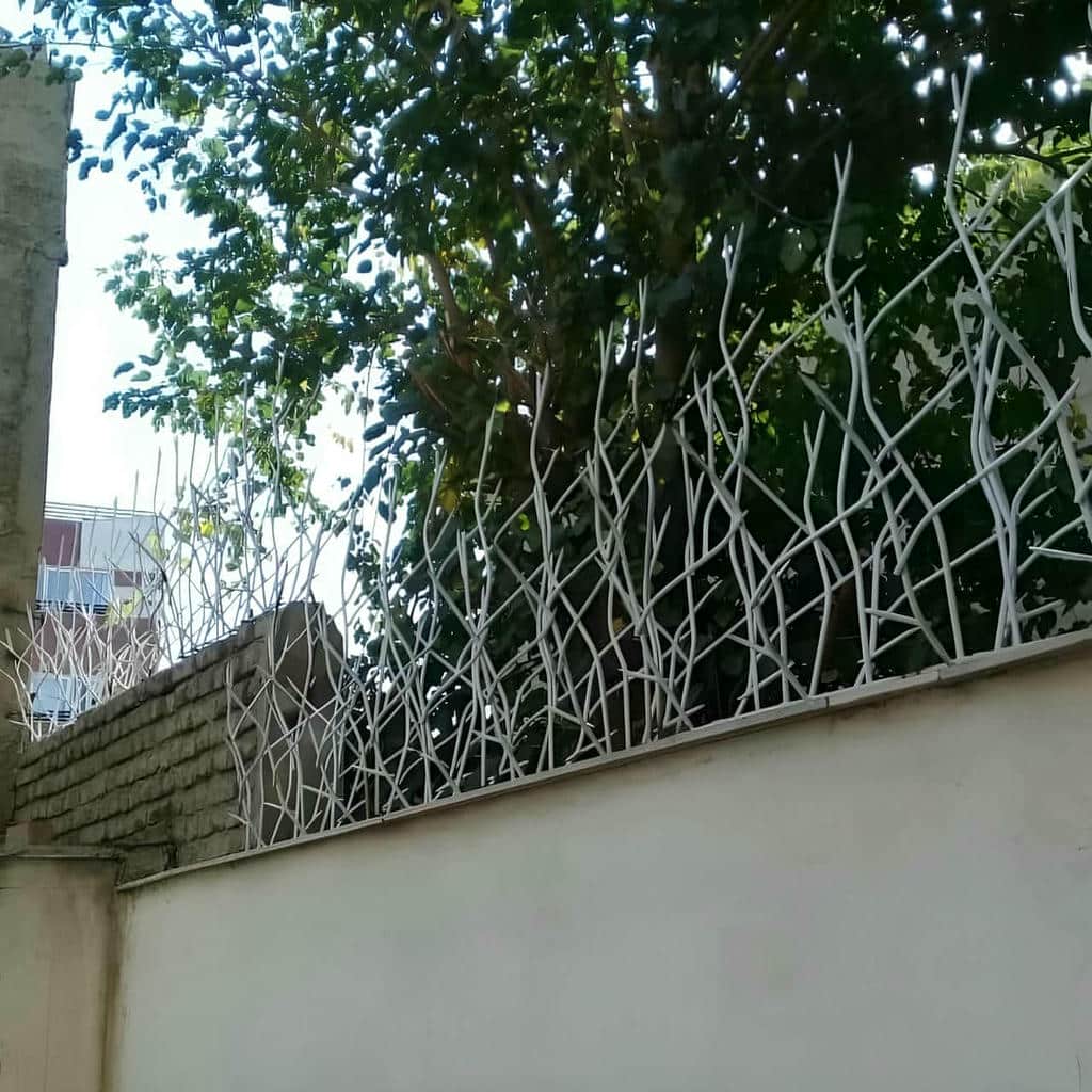 حفاظ شاخ گوزنی در زاهدان حفاظ شاخ گوزنی در زاهدان