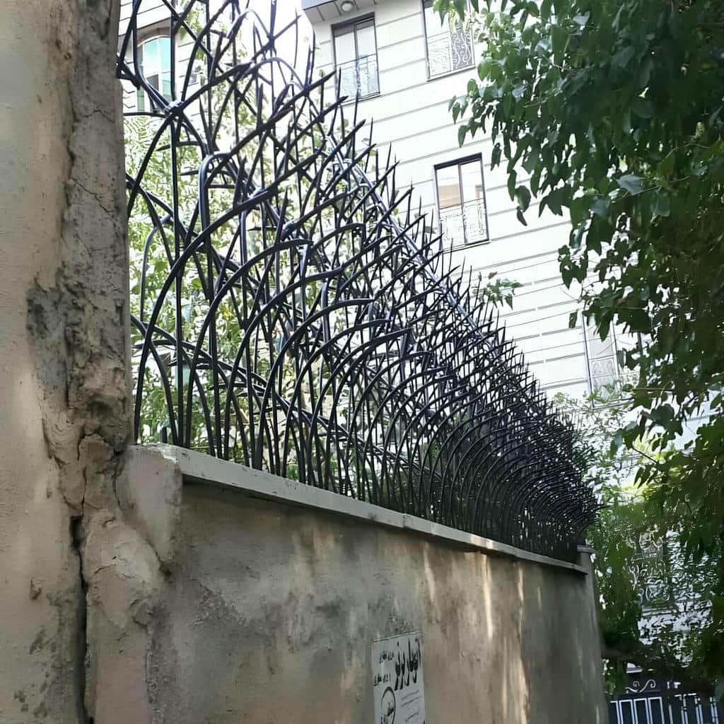 حفاظ شاخ گوزنی در دماوند - تصویر 4