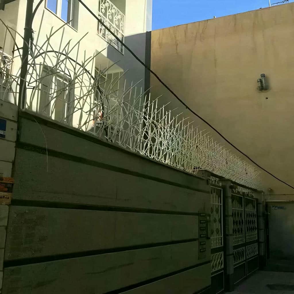 حفاظ شاخ گوزنی در تهران حفاظ شاخ گوزنی در تهران