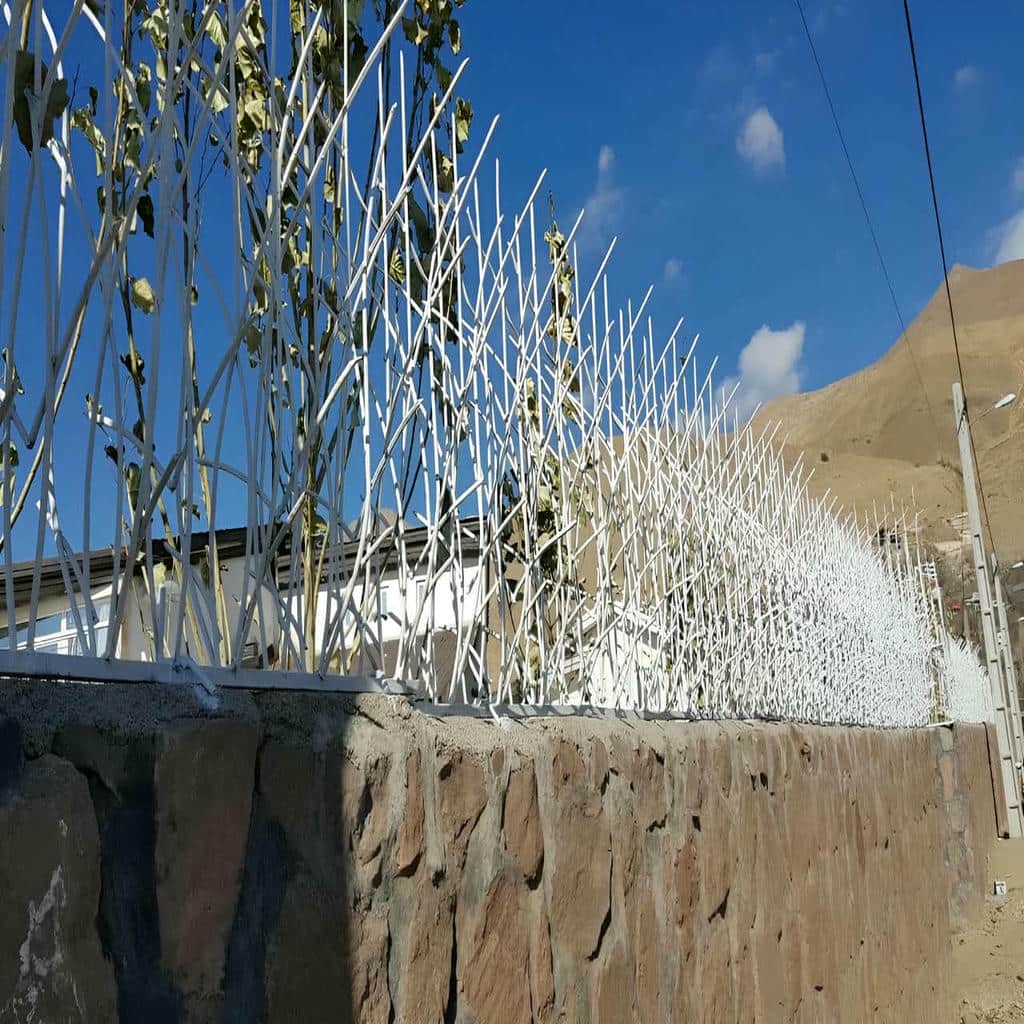 حفاظ شاخ گوزنی در بندر بوشهر