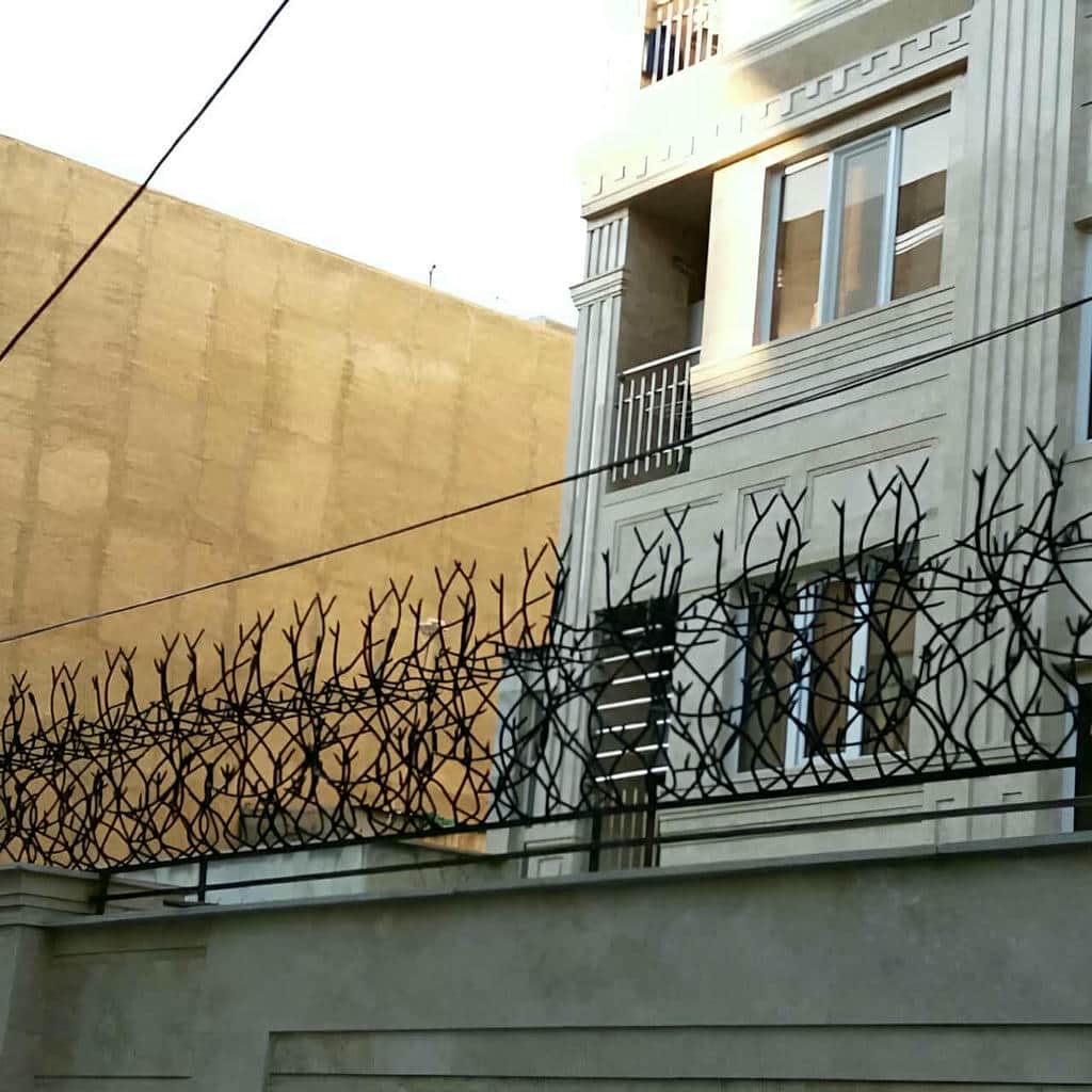 حفاظ شاخ گوزنی در شهرکرد - تصویر 4