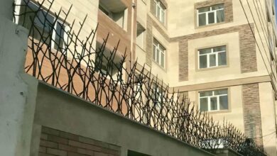 حفاظ شاخ گوزنی در شهرکرد