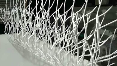 حفاظ شاخ گوزنی در گرگان