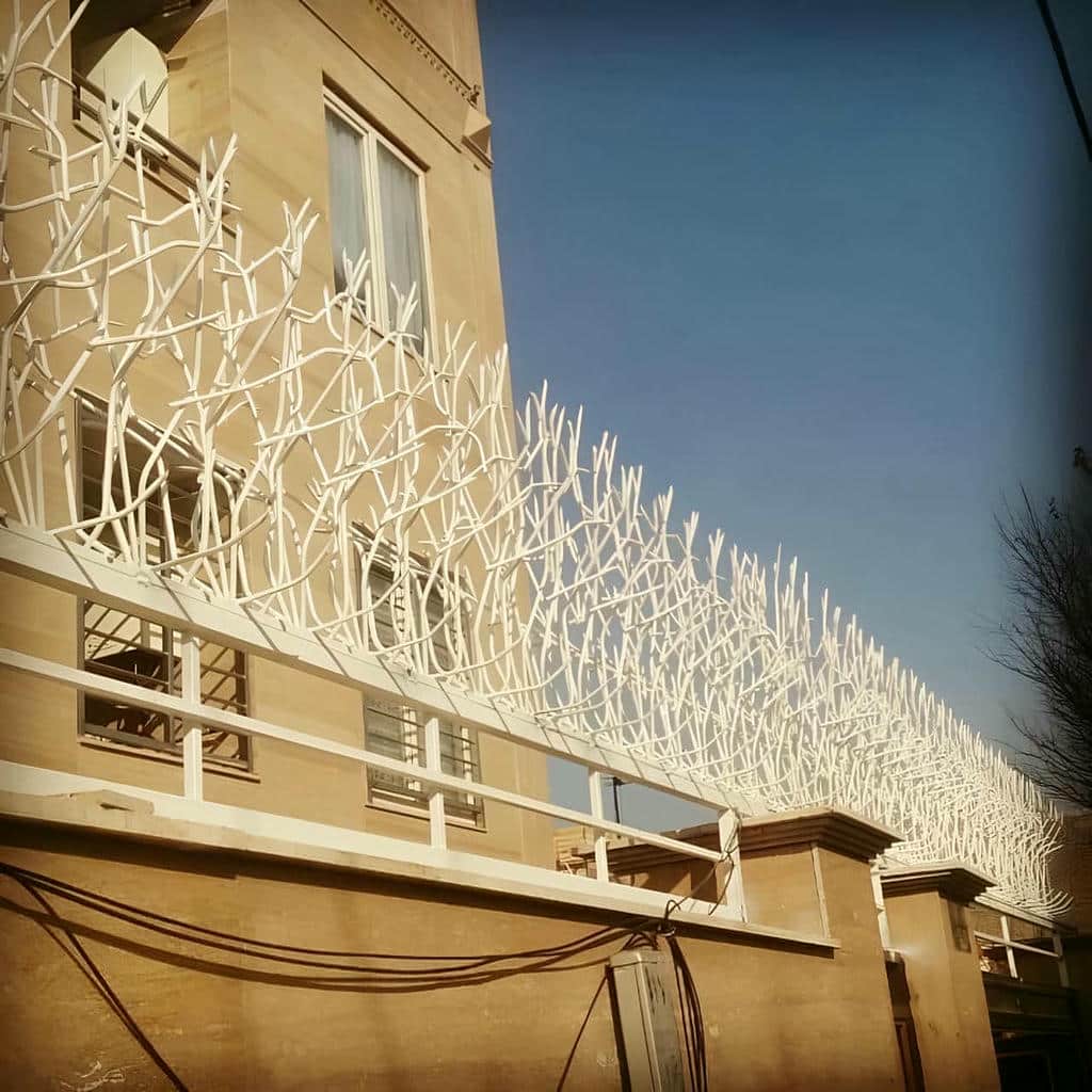 حفاظ شاخ گوزنی در ایلام
