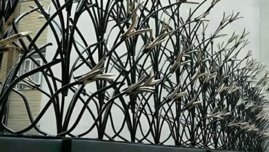 حفاظ شاخ گوزنی در قشم