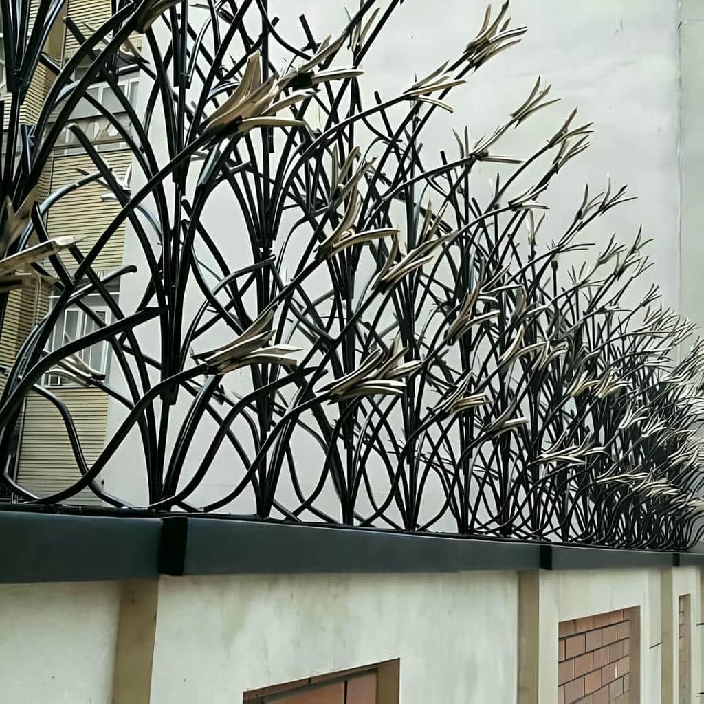 حفاظ شاخ گوزنی در قشم