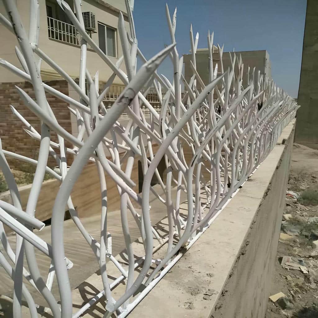 حفاظ شاخ گوزنی در بندر دیلم