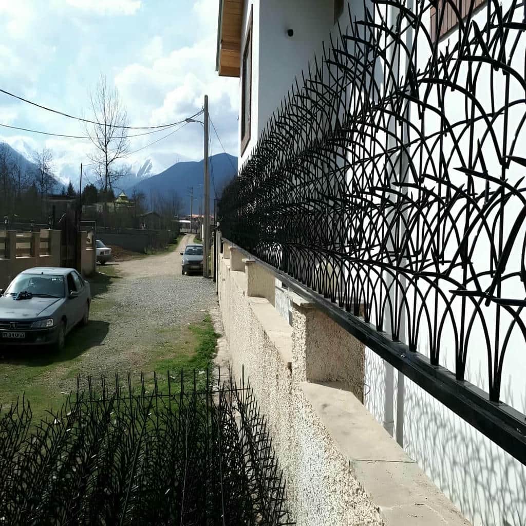 حفاظ شاخ گوزنی در کیش - تصویر 3