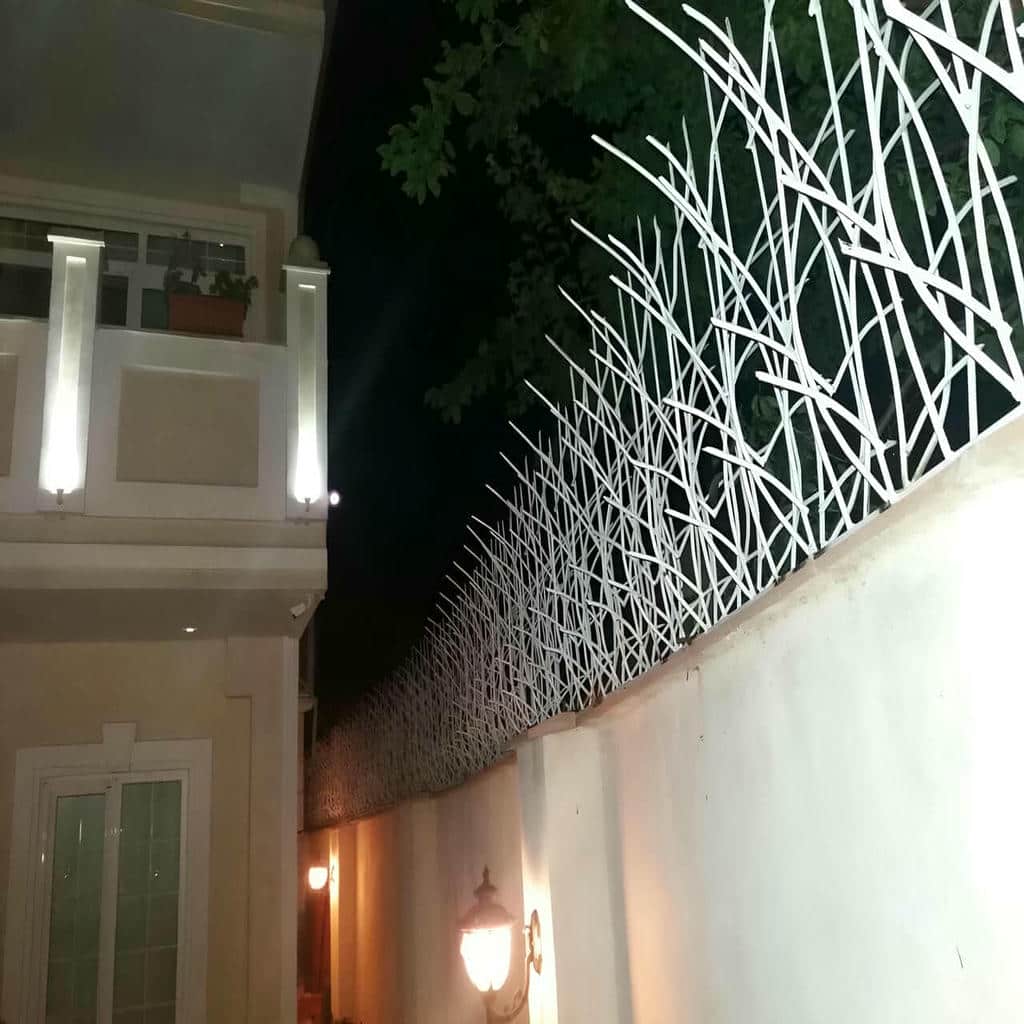 حفاظ شاخ گوزنی در آبادان