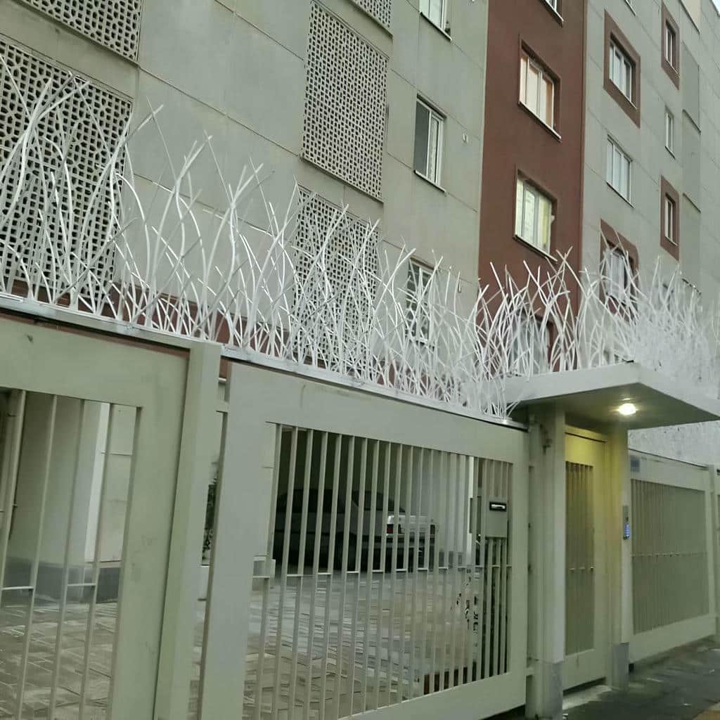 حفاظ شاخ گوزنی در کرمانشاه حفاظ شاخ گوزنی در کرمانشاه