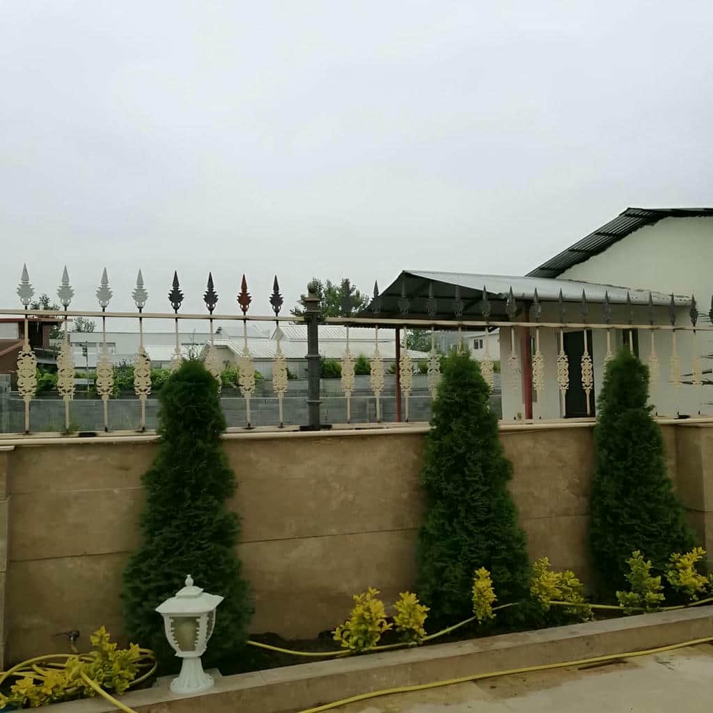 حفاظ شاخ گوزنی در یاسوج