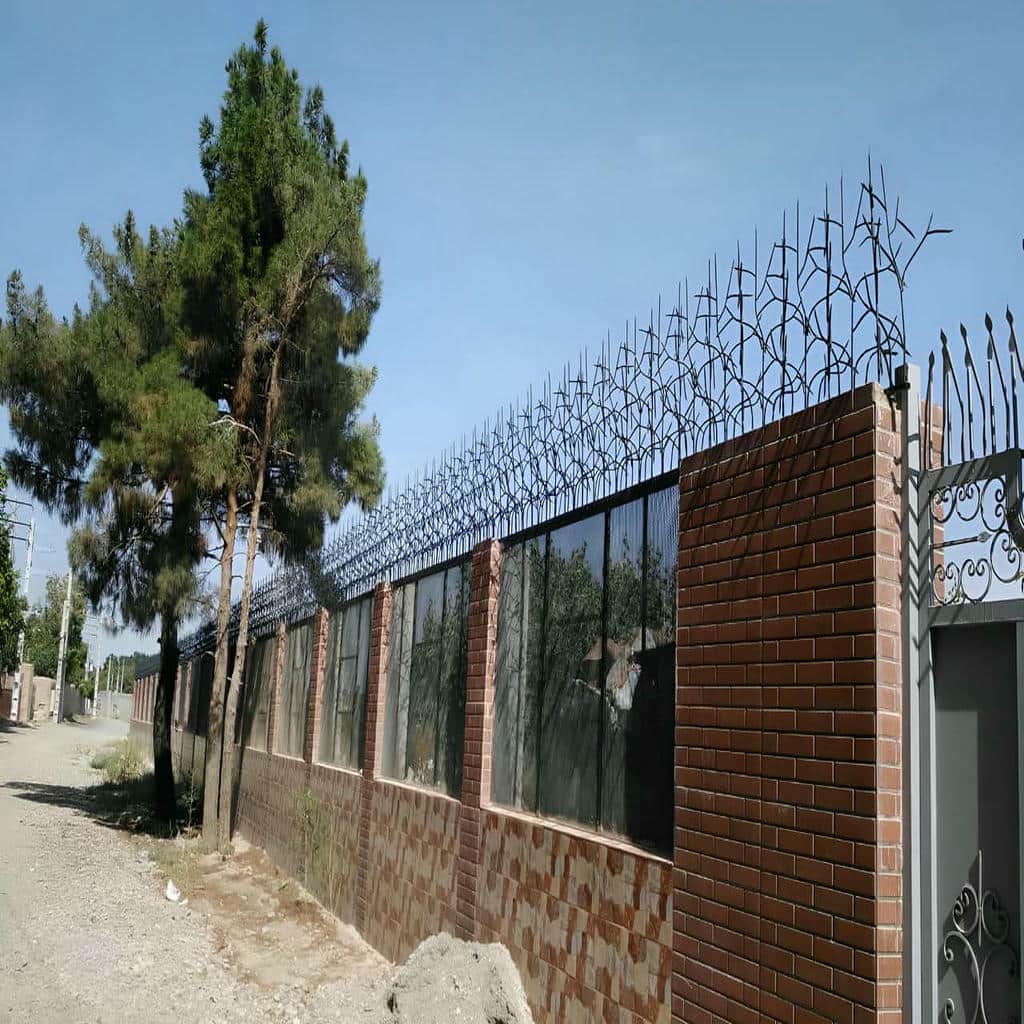 حفاظ شاخ گوزنی در نظرآباد - تصویر 3