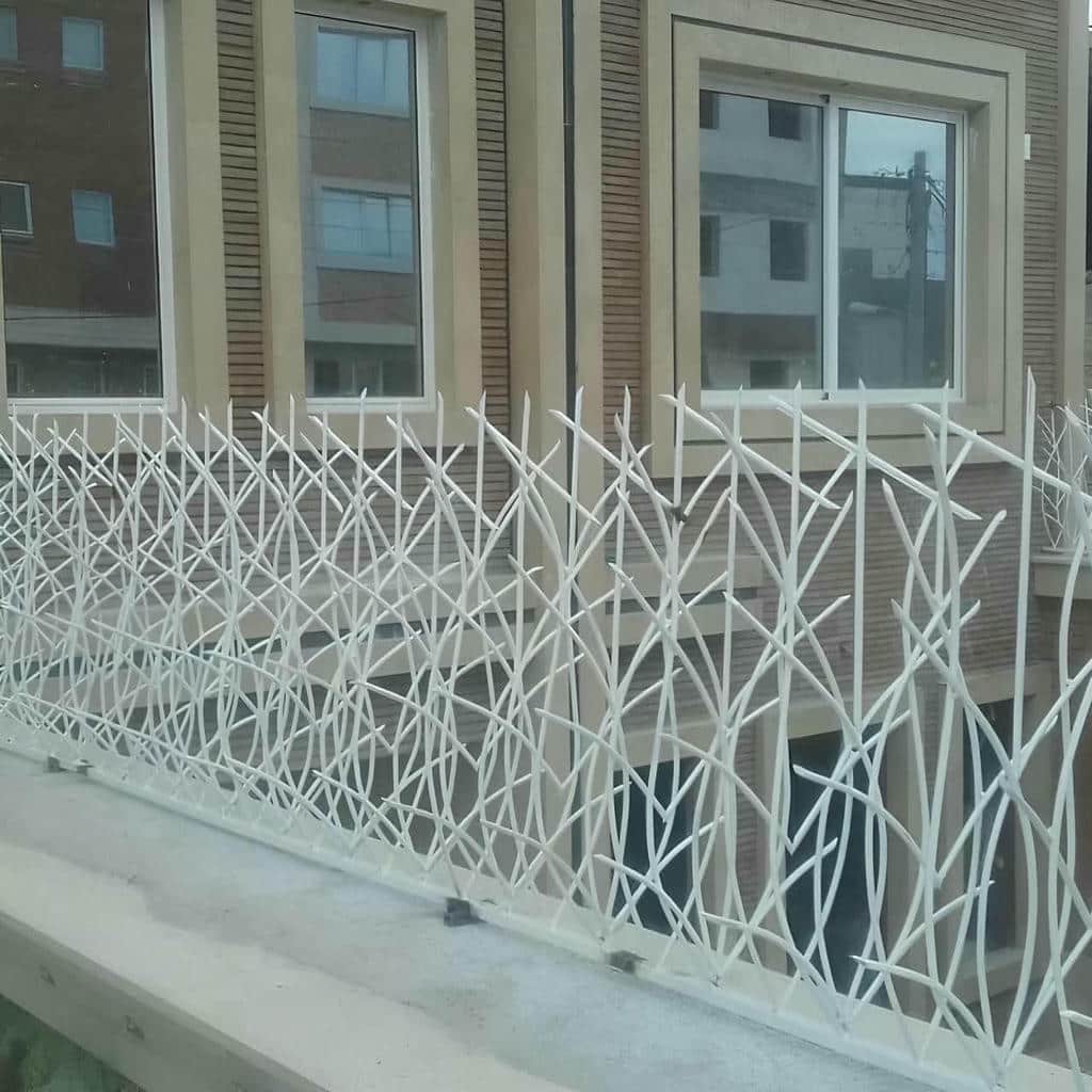 حفاظ شاخ گوزنی در بجنورد