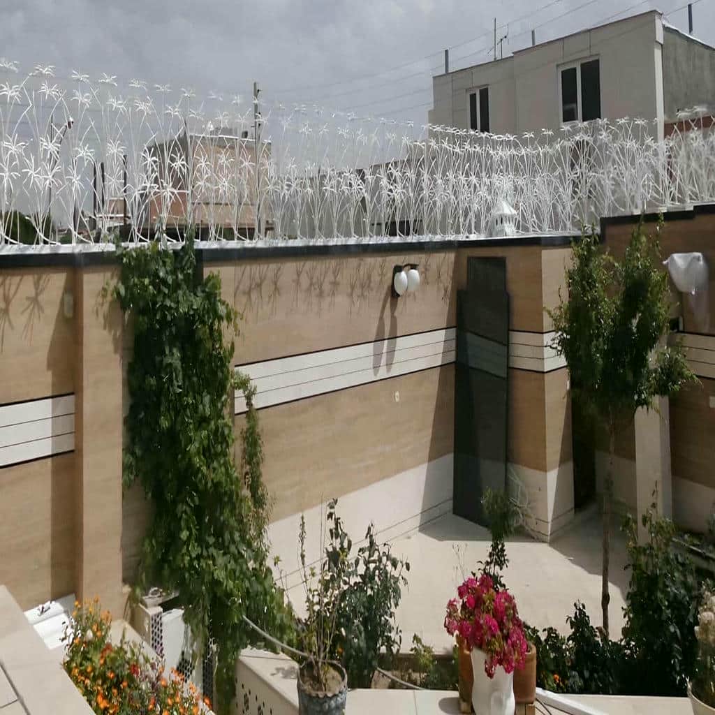 حفاظ شاخ گوزنی در همدان