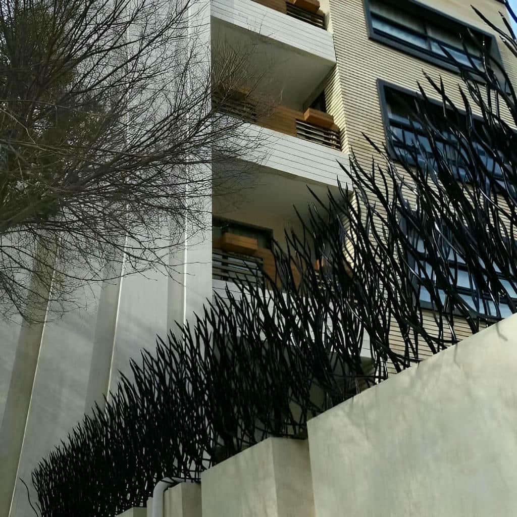 حفاظ شاخ گوزنی در رفسنجان
