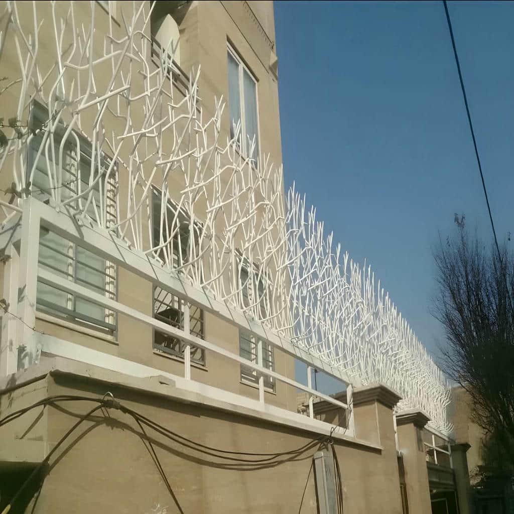 حفاظ شاخ گوزنی در بندر انزلی