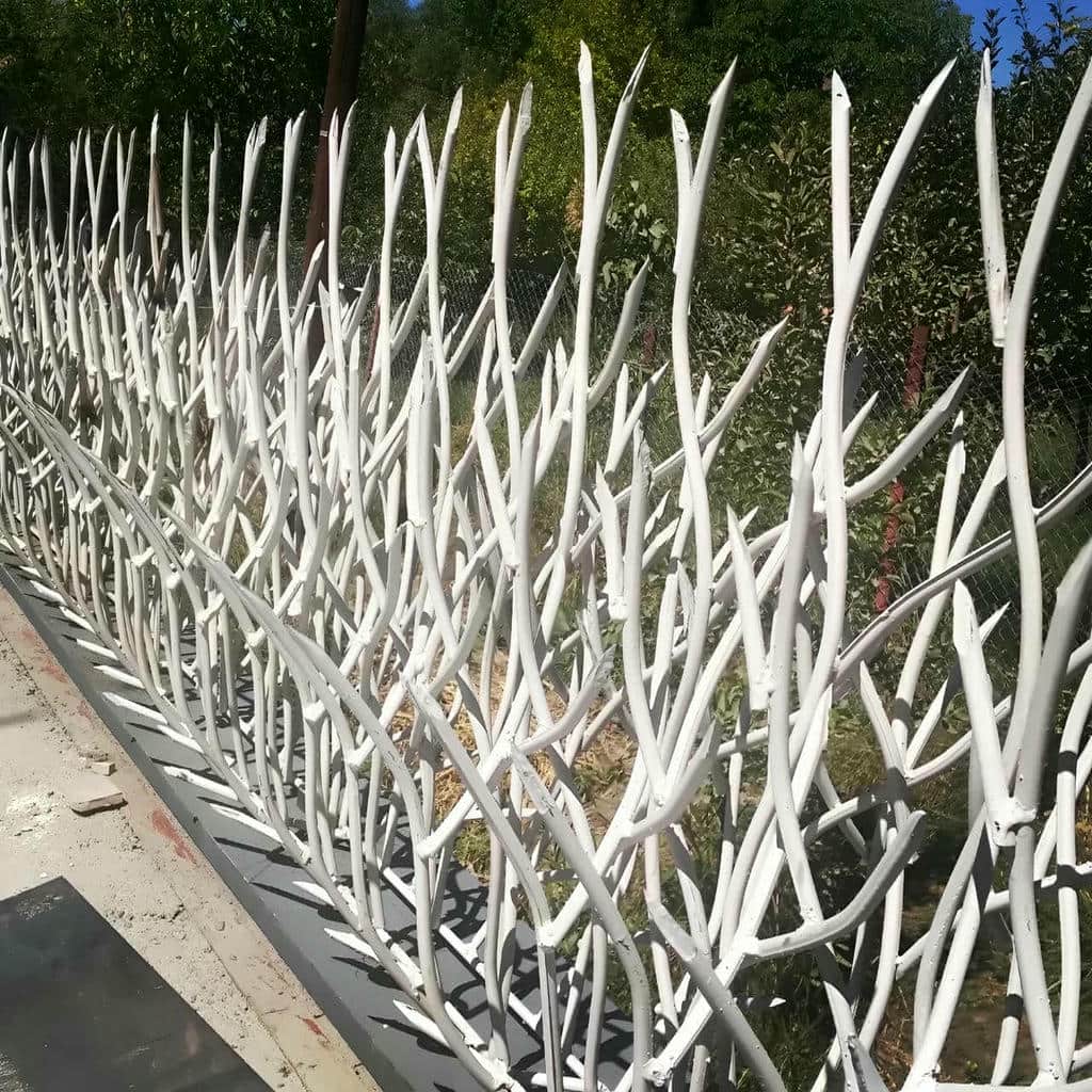 حفاظ شاخ گوزنی در فردیس کرج