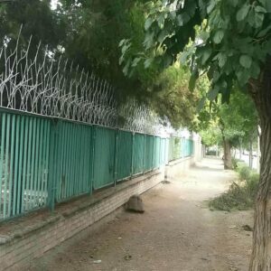 حفاظ شاخ گوزنی در فیروزکوه