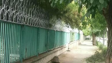 حفاظ شاخ گوزنی در فیروزکوه