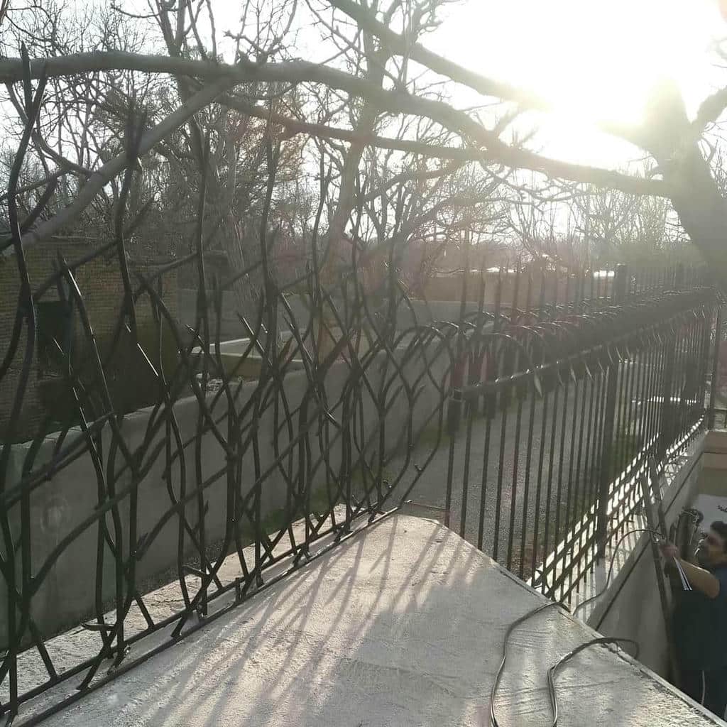 حفاظ شاخ گوزنی در اشتهارد حفاظ شاخ گوزنی در اشتهارد