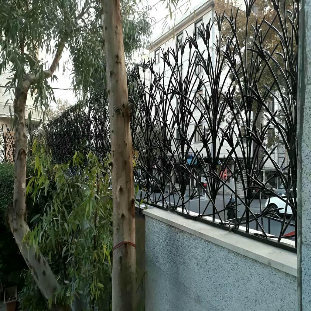 حفاظ شاخ گوزنی در بندر بوشهر حفاظ شاخ گوزنی در بندر بوشهر