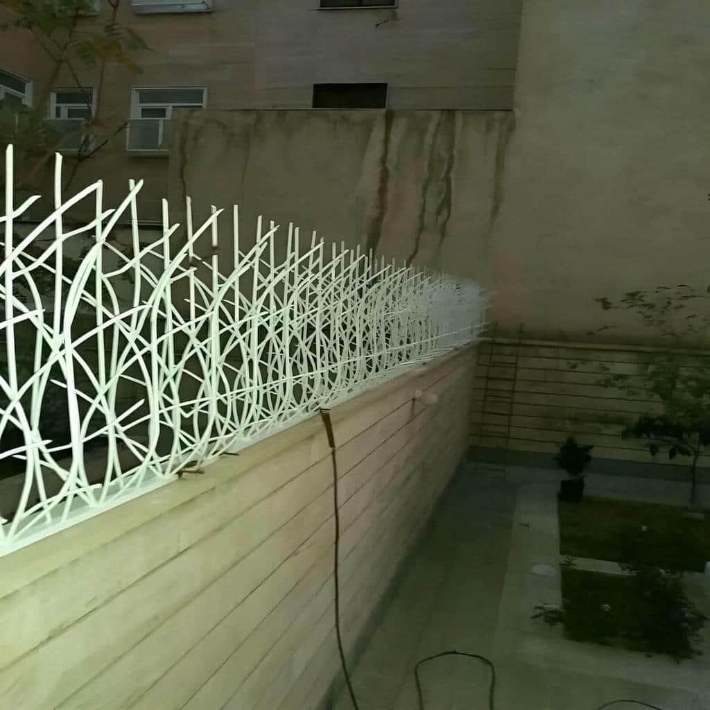 حفاظ شاخ گوزنی در اردبیل - تصویر 2