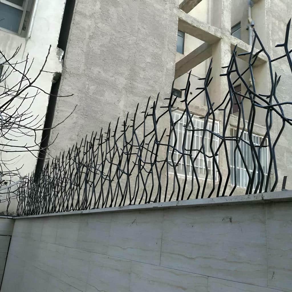 حفاظ شاخ گوزنی در هشتگرد - تصویر 2