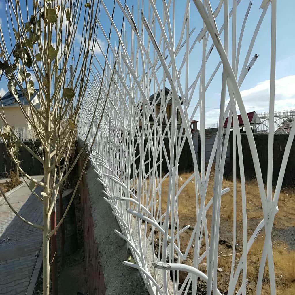 حفاظ شاخ گوزنی در بندر دیلم