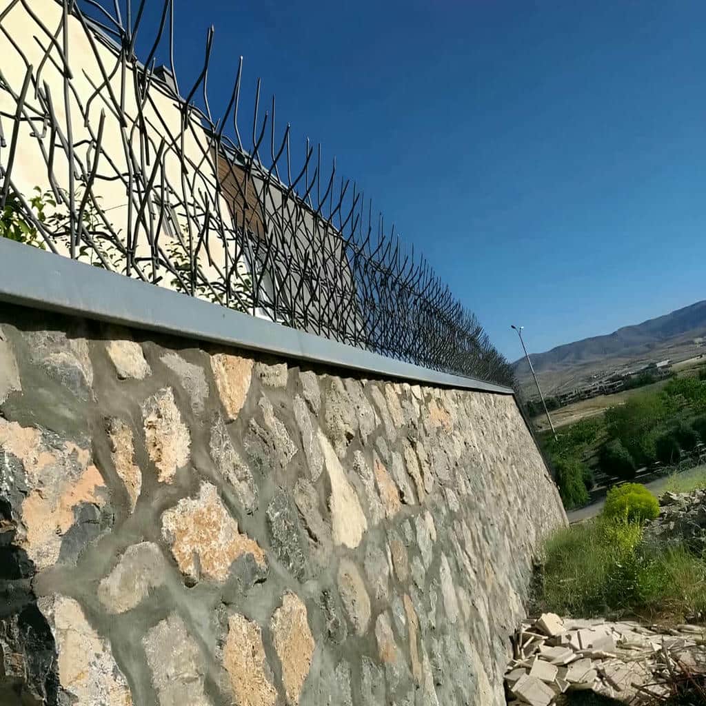 حفاظ شاخ گوزنی در فیروزکوه