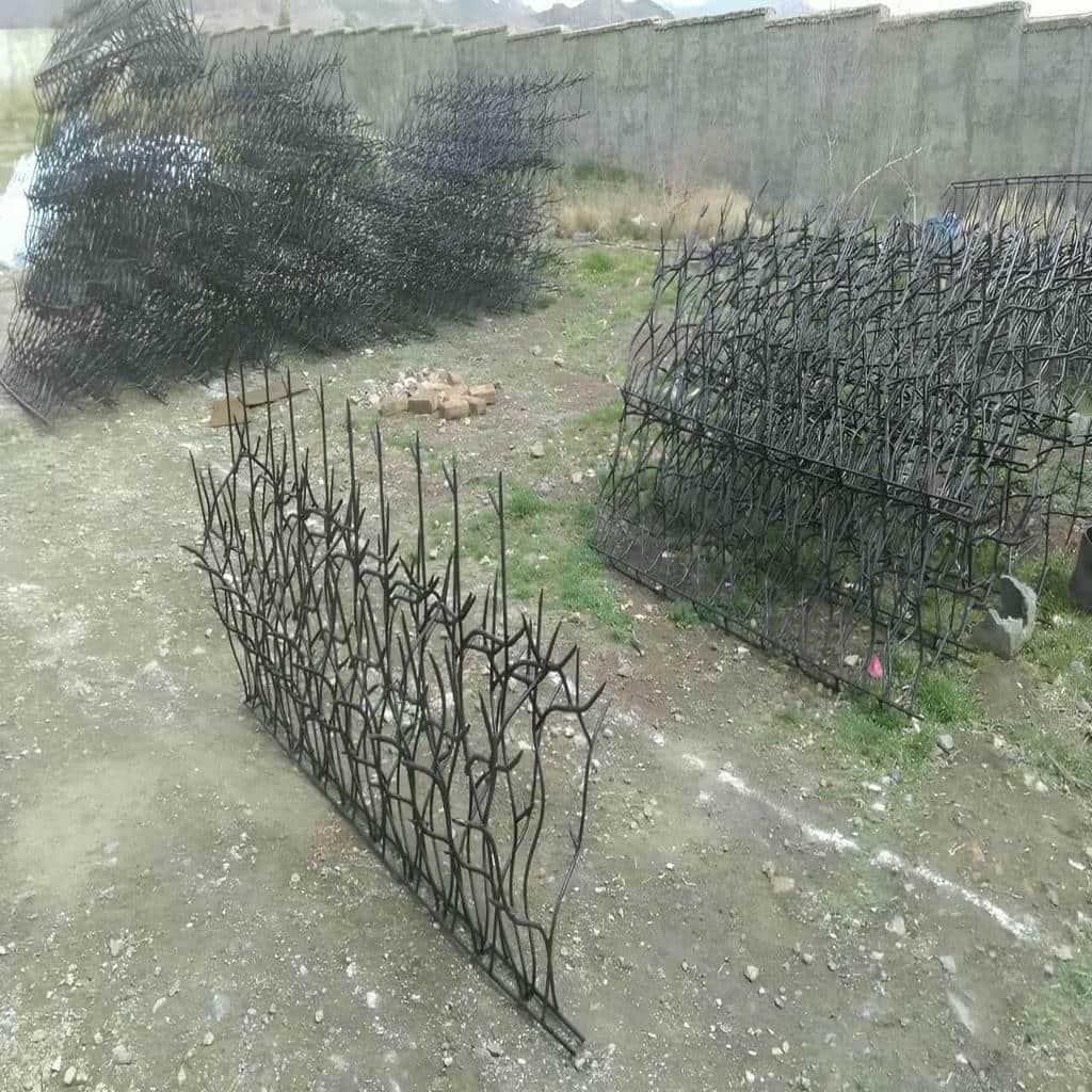 حفاظ شاخ گوزنی در اردبیل